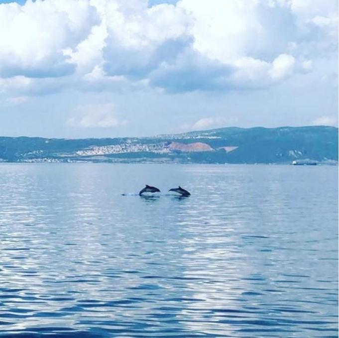 Blue Pier Hotel Kocaeli Eksteriør billede